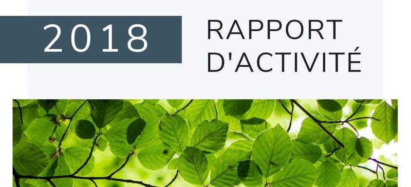 Rapport d'activité 2018