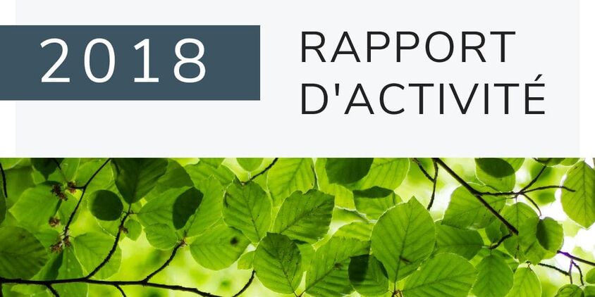 Rapport d'activité 2018