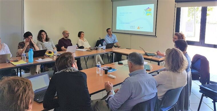 Rencontre UNEA et Cap emploi Occitanie